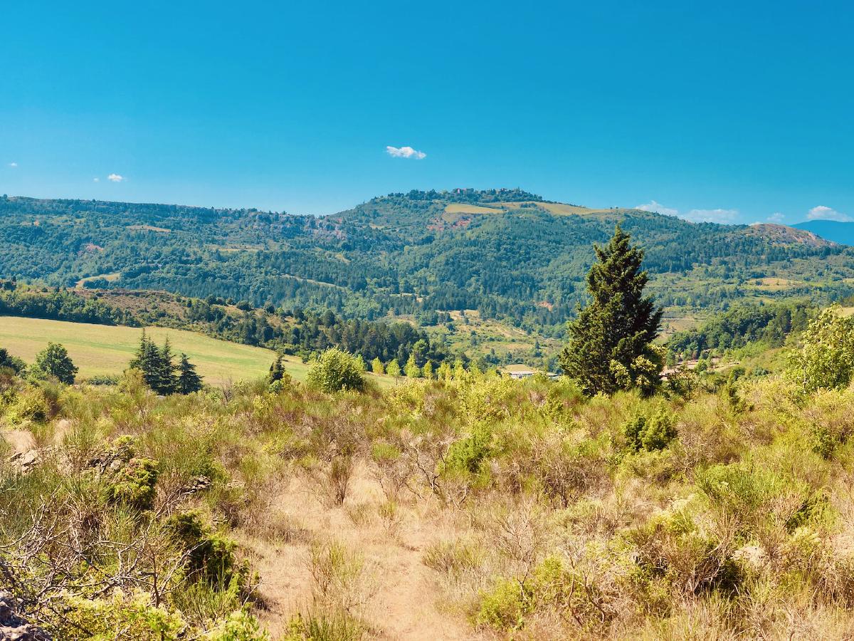 Panorama