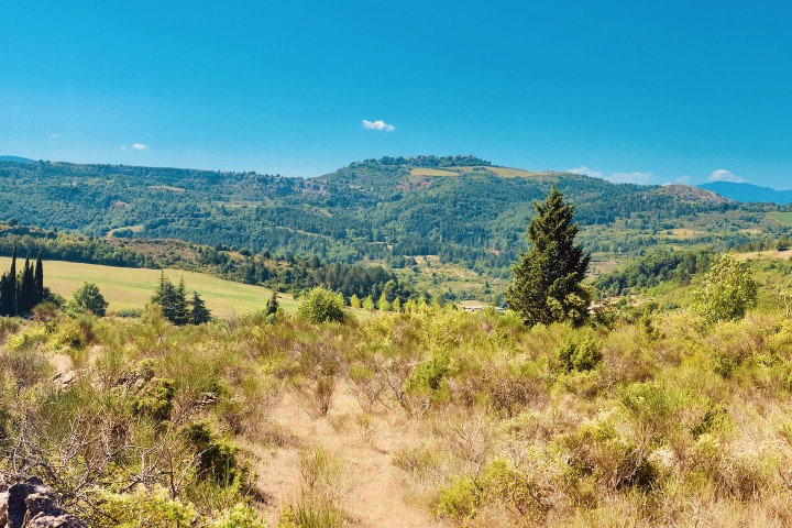 Panorama