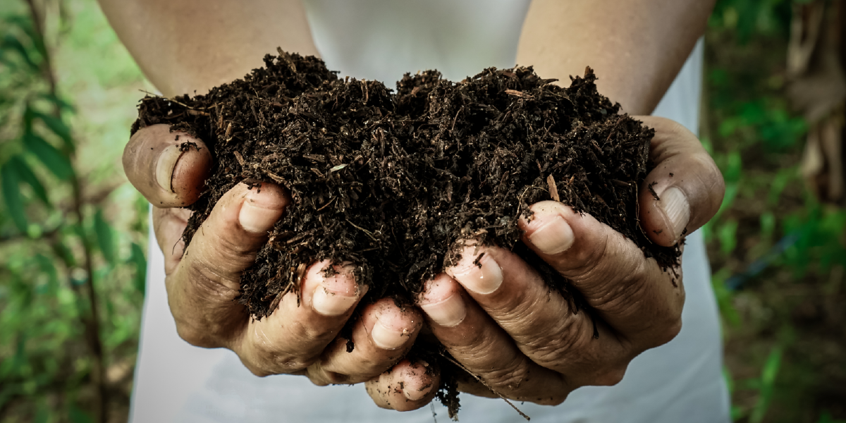 Super Soil de Subcool : recette, utilisation et culture