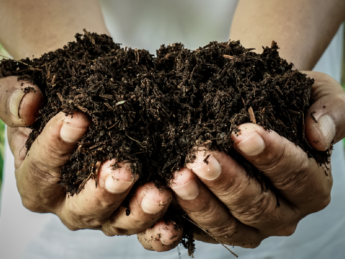 Super Soil de Subcool : recette, utilisation et culture