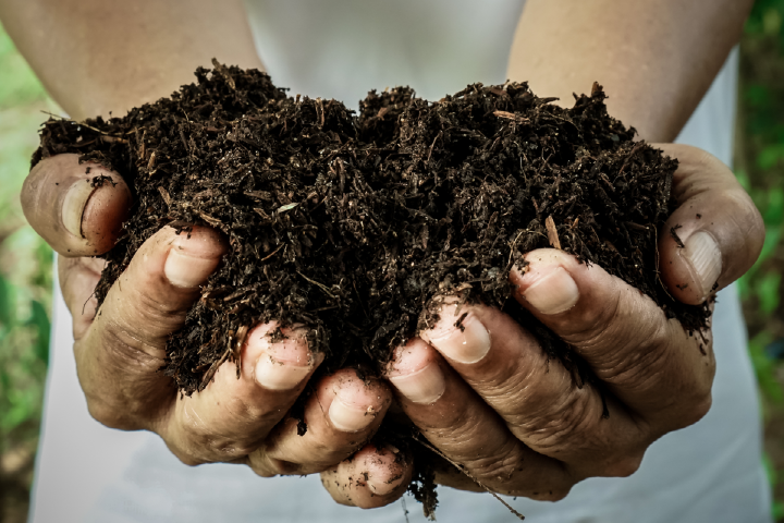 Super Soil de Subcool : recette, utilisation et culture